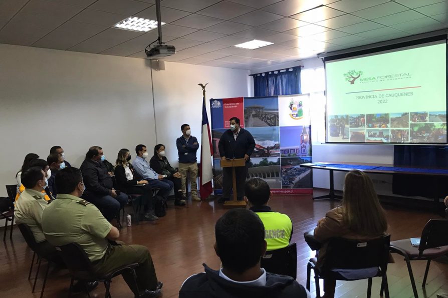 Cauquenes: Presentan y validan Plan de Trabajo de la Mesa Forestal 2022