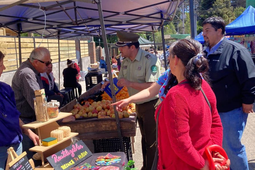 EN FERIA DE SEGURIDAD PÚBLICA DE PELLUHUE Y CHANCO DIFUNDEN FONO DENUNCIA SEGURO