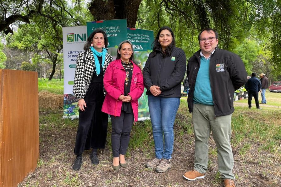 <strong>DÍA DE CAMPO EN INIA CAUQUENES</strong>