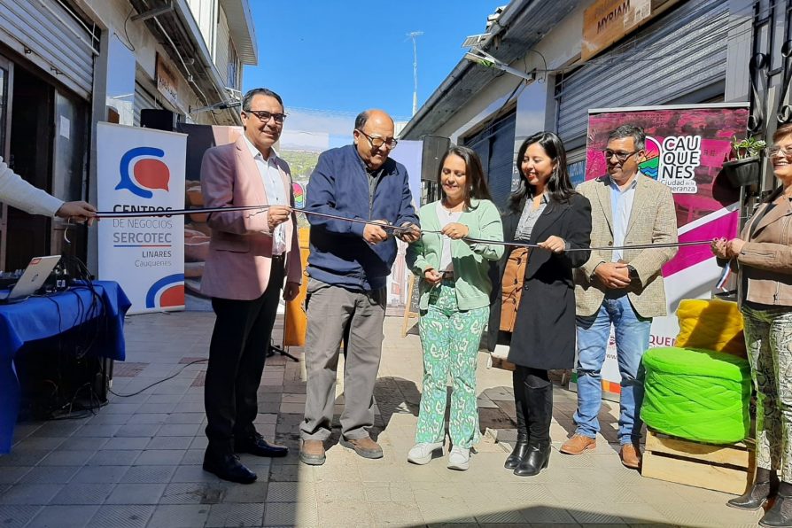 Comerciantes de Pasaje Ruiz de Cauquenes finalizan primera etapa de Proyecto de Remodelación a través del Programa “Barrios Comerciales” de Sercotec