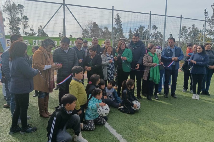 En el sector de Canelillo de Pelluhue Gobierno inaugura nueva cancha de pasto sintético