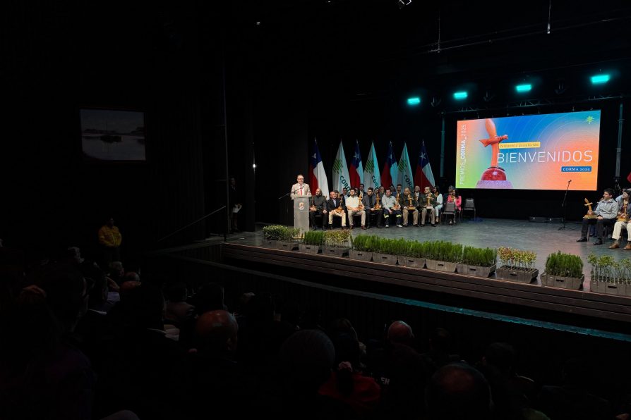 DELEGADO PRESIDENCIAL DE CAUQUENES PARTICIPA EN PREMIACIÓN DE LOS “PREMIOS CORMA 2025” EN CONSTITUCIÓN