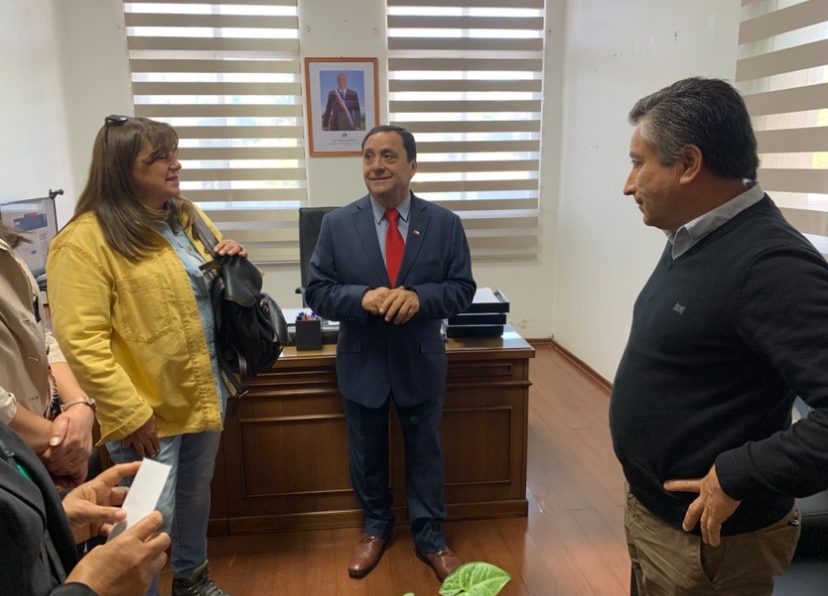 SE INVITA A ORGANIZACIONES DE LA PROVINCIA DE CAUQUENES A POSTULAR AL FONDO SOCIAL PRESIDENTE DE LA REPÚBLICA 2026