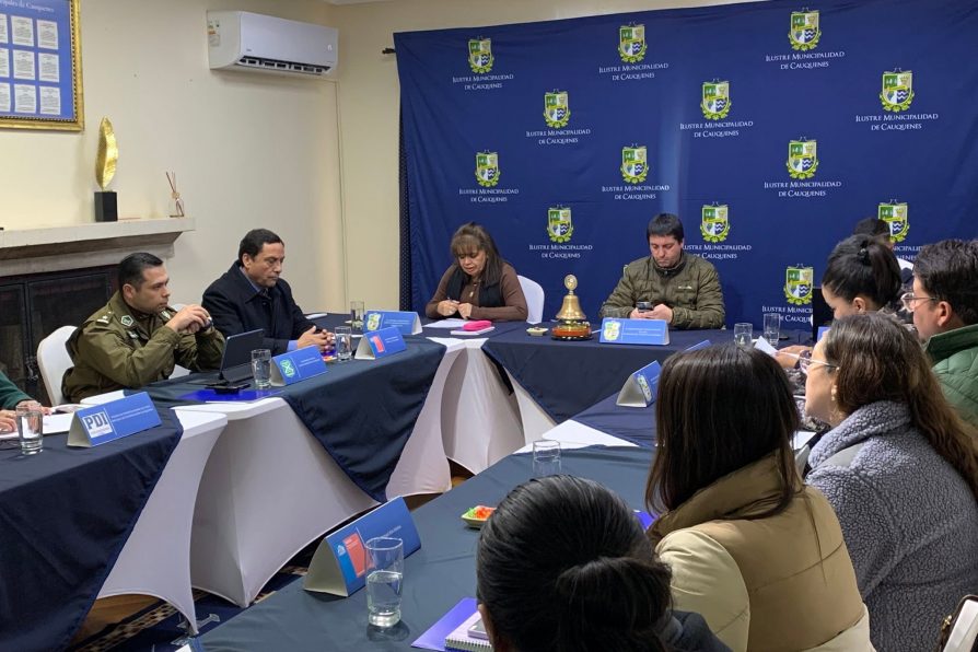 DELEGADO PRESIDENCIAL PARTICIPA EN CONSEJO COMUNAL DE SEGURIDAD PÚBLICA DE CAUQUENES