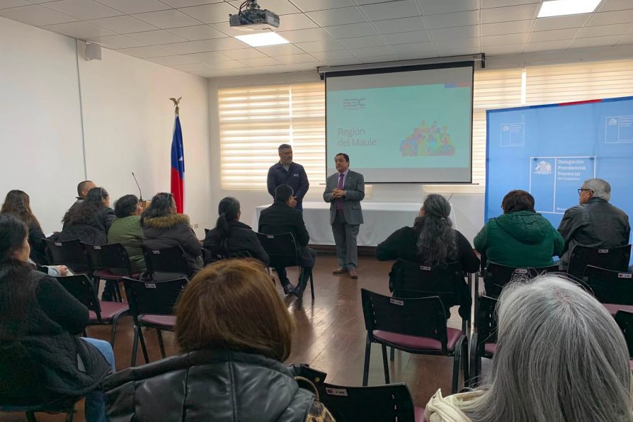SEC MAULE REFUERZA COORDINACIÓN PARA EMERGENCIAS ELÉCTRICAS ANTE TEMPORALES E INCENDIOS FORESTALES